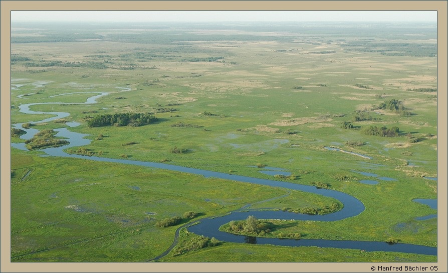 Biebrza - Nationalpark (Polen)
Schlüsselwörter: Biebrza - Nationalpark, Polen