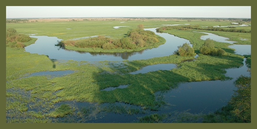 Biebrza - Nationalpark (Polen)
Schlüsselwörter: Biebrza - Nationalpark, Polen