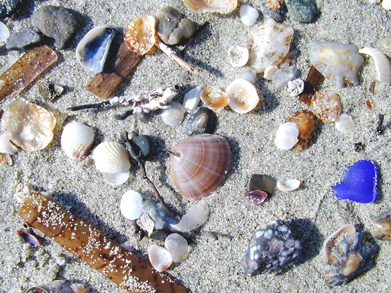Strand, Korsika
Schlüsselwörter: Strand, Korsika