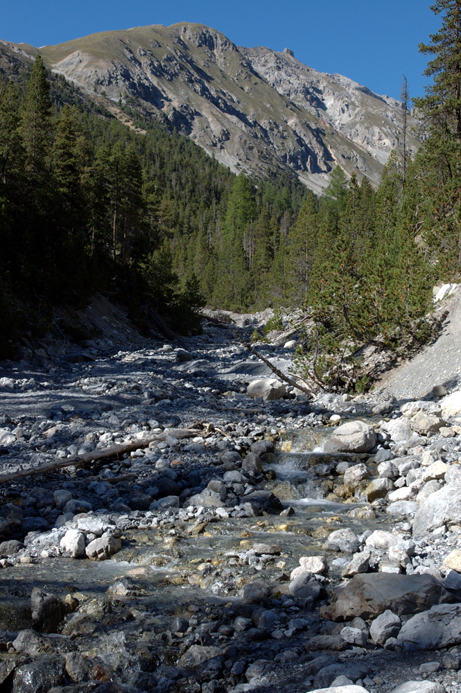 Landschaft am Ofenpass
Schlüsselwörter: Landschaft, Ofenpass. Schweizer Nationalpark
