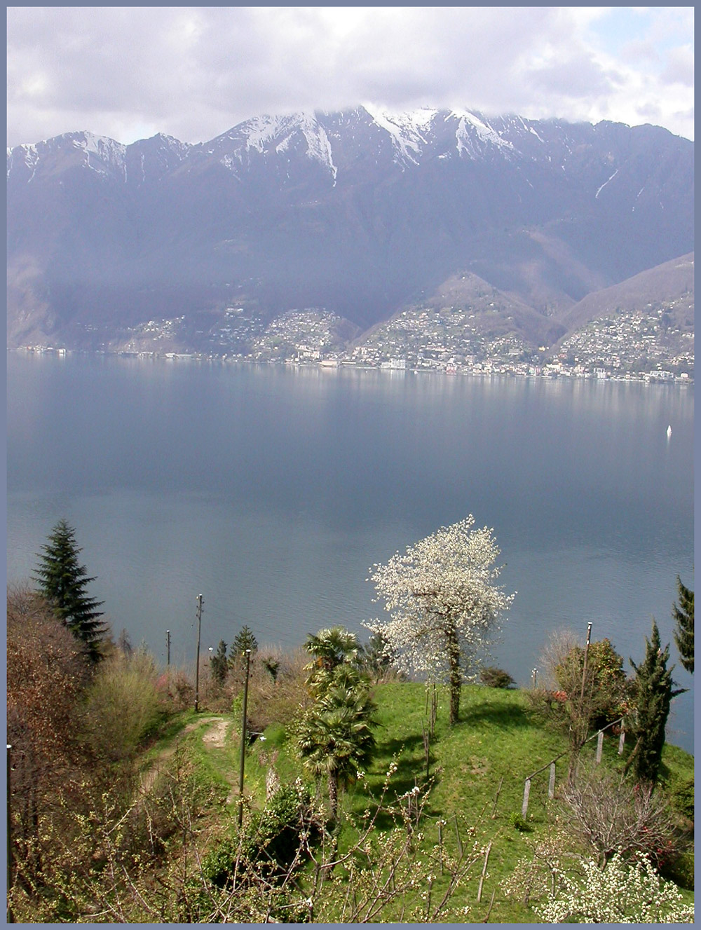 Ruhiges Wasser, schleichendes Segelboot, blühender Baum, echter Rentner-Traum!
Tessin, Frühlingswetter, zum Rentner werden, Abschalten, Wegschalten- Durchhalten 65 kommt bestimmt.
Schlüsselwörter: Tessin, blühender Apfelbaum, See