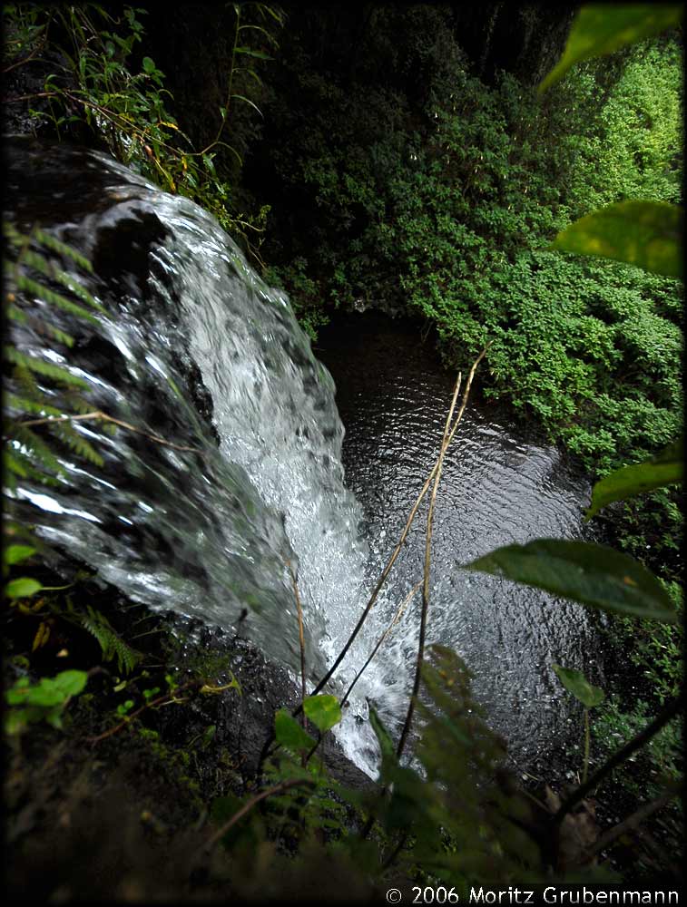 Wasserfall in den Montagne d'Ambre
Schlüsselwörter: Wasserfall, Montagne d'Ambre, Nord-Madagaskar