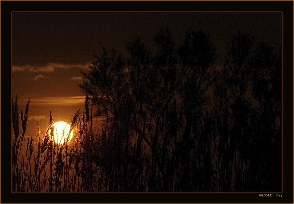Früh morgens ...
... in der Camargue
Schlüsselwörter: Camargue