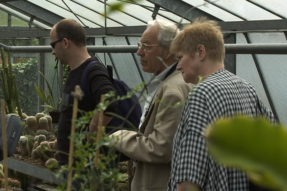 im Gewächshaus Berggarten Hannover
Schlüsselwörter: Bergarten, Hannover, Herrenhäuser Gärten