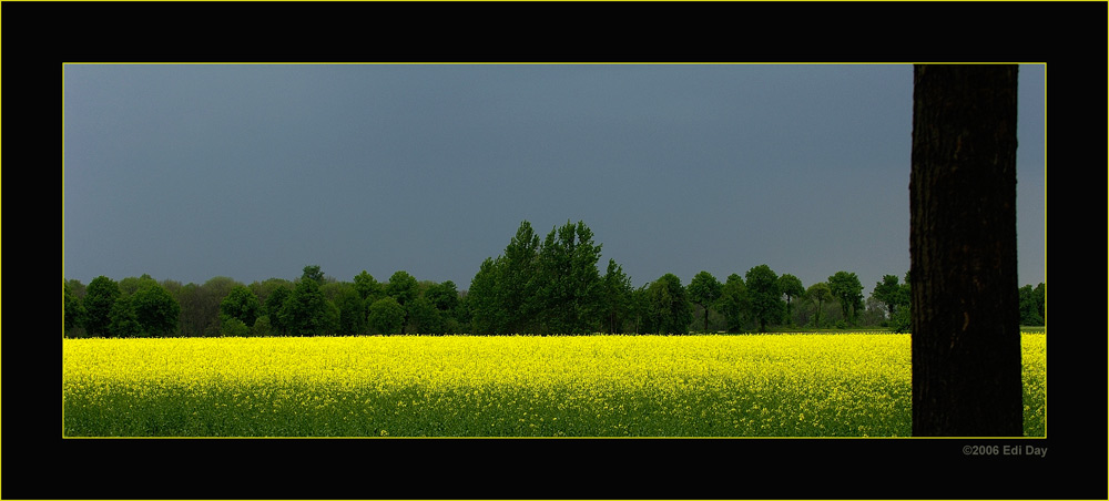 Stimmung
Schlüsselwörter: Polen