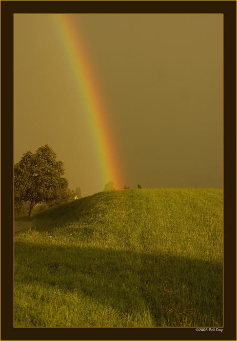 ein heftiger Regenschauer
hat diesen Regenbogen produziert
Schlüsselwörter: Regenbogen