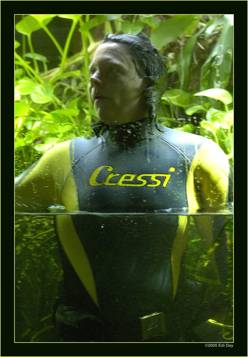 Seltenes Amphibium im Aquarium von Bochum
