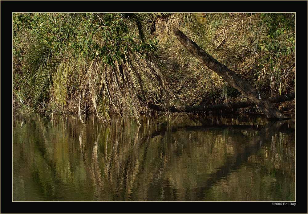 Wasserspiegelungen
im Okavango
Schlüsselwörter: Namibia, Caprivi, Okavango