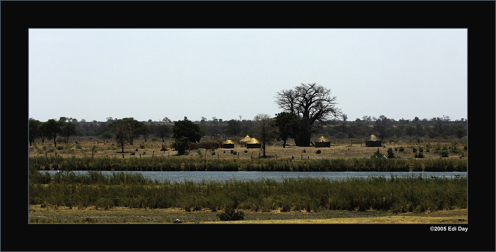 Jedes Dorf hat seinen Baobab
hier am Okavango
Schlüsselwörter: Namibia, Caprivi, Okavango, Baobab, Affenbrotbaum, Adansonia digitata