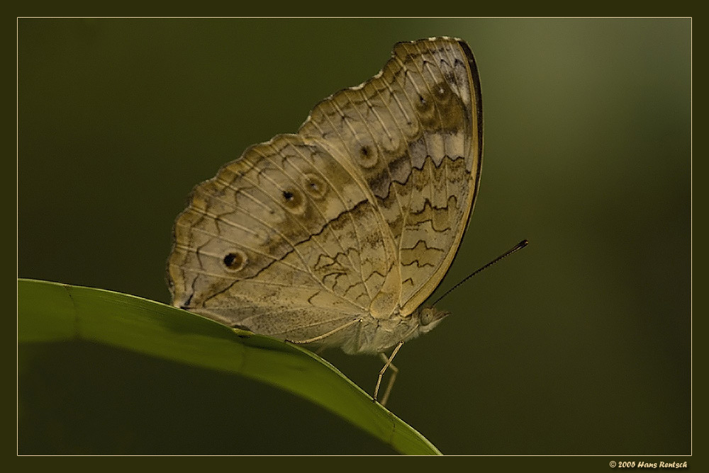 Er wartete nur auf mich :-)
Name ist mir nicht bekannt.
