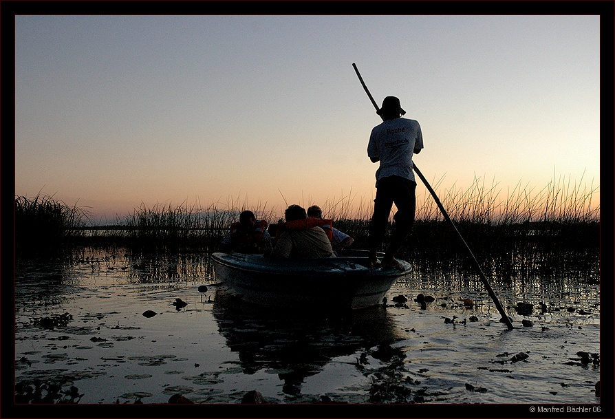 Abendexkursion in den Ibera-Sümpfen, Argentinien
Schlüsselwörter: Ibera, Argentinien