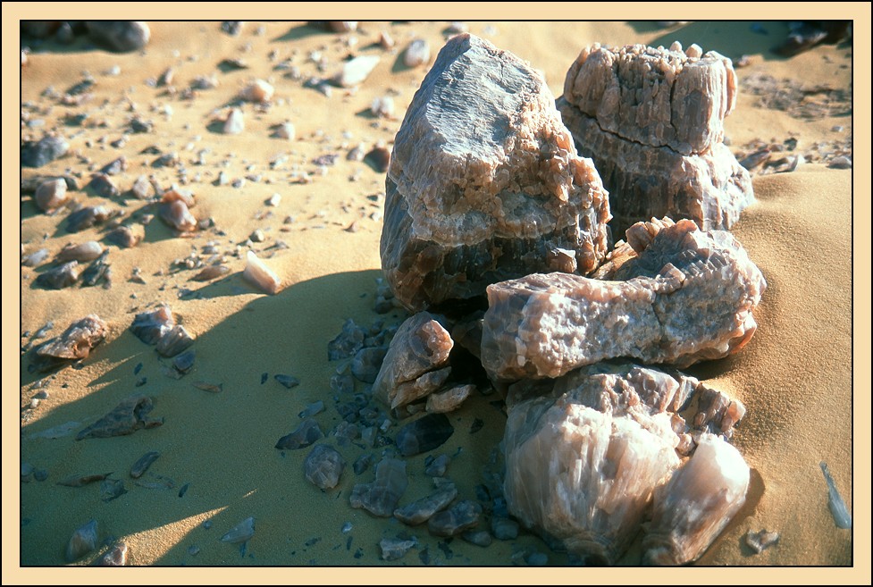 weisse Wüste
Nikon F5 200mm Makro
Schlüsselwörter: Weisse Wüste